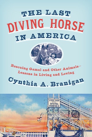 Museum Lecture: Uncovering the Hidden History of the Diving Horses