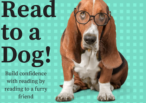 Read to Riley: Therapy Dog Program