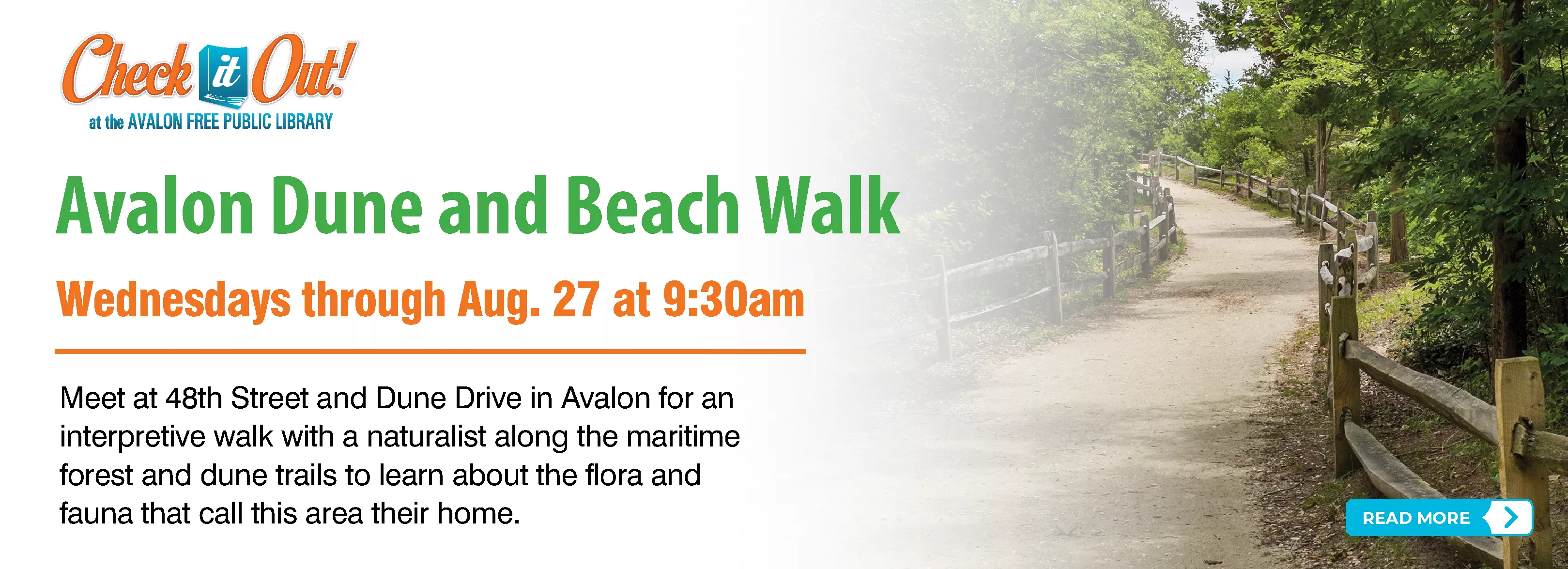 Dune and Beach Walk