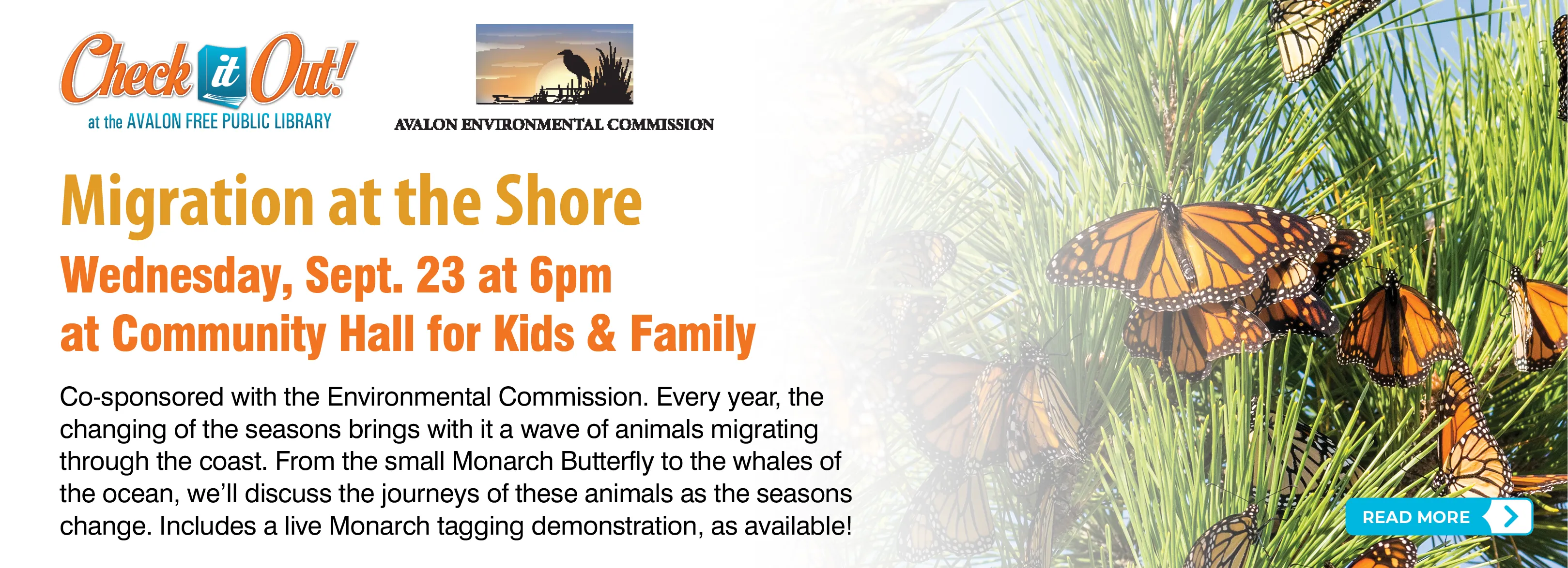 Click for info about Migration at the Shore