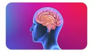 Well Wednesday: Optimize Your Brain Health
