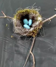 Art Workshop: Felt Bird Nests